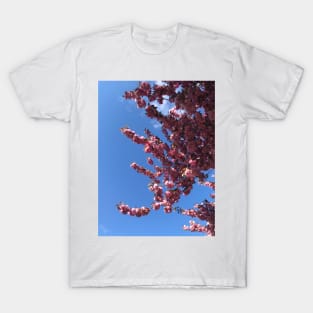 Spring Bloom, II T-Shirt